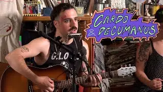 Cardo & Decumanus: Tiny Fl&aacute;jsk&aacute; Session 