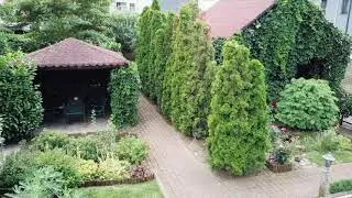 Prezentare casa cu piscina - Timisoara