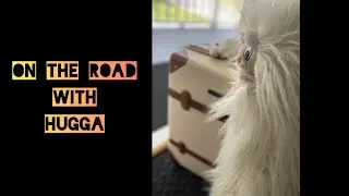 Hugga goes to CAM on St. Patrick's Day!