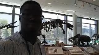 360 view of the Mace Brown Museum in Charleston, South Carolina.