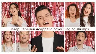 Singing Shrimps - Ветер перемен (A cappella cover)