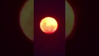 5th DECEMBER 2025 SUPER MOON. UAP'S, UFO'S FLYING AROUND. FILMED IN SYDNEY AUSTRALIA. 