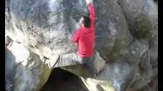 Fourmis Rouge (7c) Fontainebleau