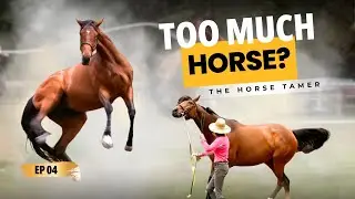 The Hidden Reason Your Horse Feels Dangerous | Ep. 4 The Horse Tamer (Leslie & Solo Tu)