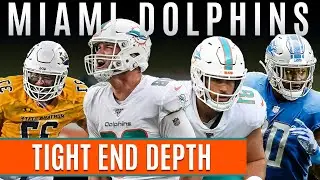 Miami Dolphins TE depth 2020, What will it look like