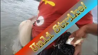 May pang ulam na | Shore casting | Capung 702 | Bearking Reel | Sabiki