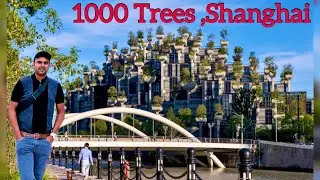 1000 Trees , Shanghai, China 🇨🇳 