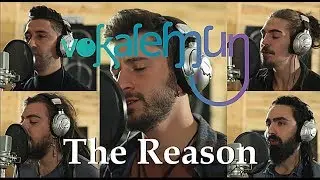 Hoobastank - The Reason (Vokalemun Acapella Cover)