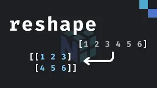 3: The cool trick to reshaping NumPy arrays