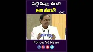 పెద్ద సిన్మా ఉంది..తిని పొండి | CM KCR Fun With Reporters | V6 Shorts