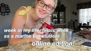 week in my life: finals week as a marine bio student! ONLINE EDITION