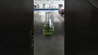 Gallic Acid⚗️#science #experiment #chemistry #satisfying #automobile #thebeatles #scienceexperiment