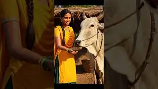 #marathisong #song #music #movie #cow #minivlog #entertainment #freestyle #farming #shortvideo#short