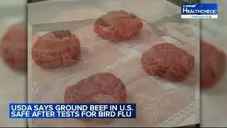 USDA says ground beef in US is safe after testing for bird flu