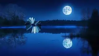 Sleep Better Tonight with Relaxing Night Meditation Music | Sounds for Deep Sleep and Stress Relief
