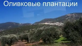 Кармиэль. Автобусно-Железнодорожная станция.