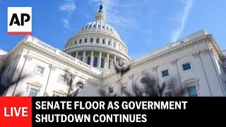 LIVE: Senate floor as government shutdown continues