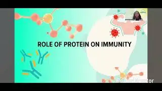 Immunity Essentials & Protein Power