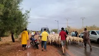 مشاهد تلخص  الأمطار الغزيرة التي سقطت - العبادلة