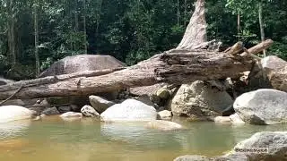 Hutan Lipur Sekayu Kuala Berang, Terengganu