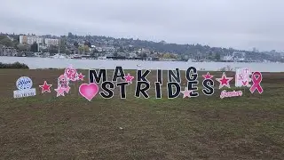 Making Strides Against Breast Cancer Seattle 2023