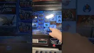 Siberian storm slot max bet random big win