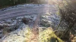 Ae Forest MTB Scrambled Eggs 