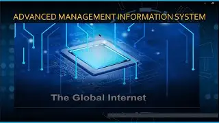 MIS : The Global Internet