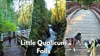 Exploring Little Qualicum Falls Park