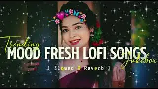 MIND RELAX LOFI SONGS 2025 | LOFI MASHUP SONG ✨ | LOVE MASHUP SONG | LOFI MASHUP VIBES |LOVE SONGS