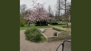 Sockertopp