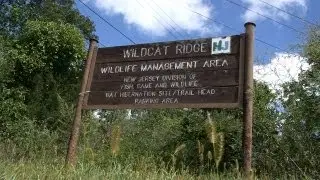 Wildcat Ridge (NJ) bike trail review in HD