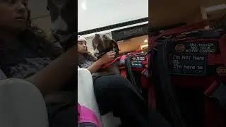 Service Dog interrupts blood sugar drop fainting spell (Real Time Response)