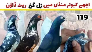 119) Lari Ada Kabootar Mandi| Lahore Lari Ada Kabootar Mandi| کبوتر منڈی| Kabuter Mandi| بادامی باغ