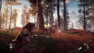 Horizon Zero Dawn™ Complete Edition   PART 2