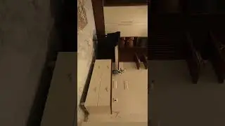 Bedroom 3 | 5BHK Duplex Flat | Interior Design | Hyderabad