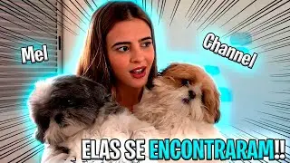 ELAS SE ENCONTRARAM PELA PRIMEIRA VEZ !!