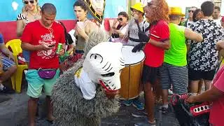 Laursa nos Quatro Cantos (V&iacute;deo 2) - S&aacute;b, 02/02/2019