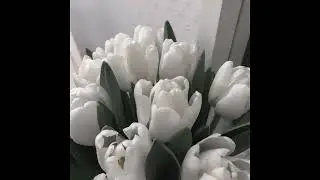 dua lipa - new rules (speed up)
