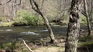 Fire Mountain Disc Golf Sanctuary, Cherokee NC. Take a break from gambling and check it out! #nature