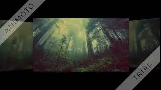 Rune   Always True (Trap city)