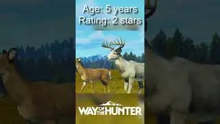 Follow an Albino Buck&rsquo;s Journey To Full Maturity! #wayofthehunter #shoosterarmy #shorts