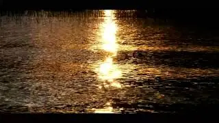 Dances and Voices of Nature Spirits / Cantos y bailes de los esp&iacute;ritus de la naturaleza
