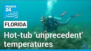 Hot-tub level: Florida ocean records 'unprecedent' temperatures &bull; FRANCE 24 English