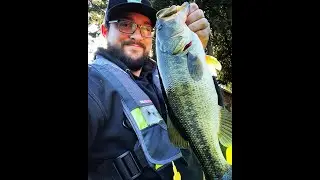 Washington Bass Fishing With Weightless Worms