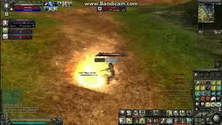 9dragons 9ds Private server Nuker grind