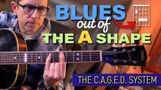 Killer Blues out of the 