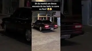 Opala diplomata, voc&ecirc; encara?