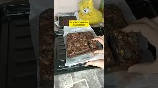 ❤️After long gap brownie video ❤️#brownieworld #trending #ytshorts #food #cake #chocolate