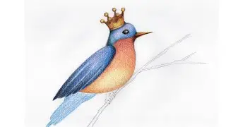 ILUSTRAÇÃO COM LÁPIS DE COR